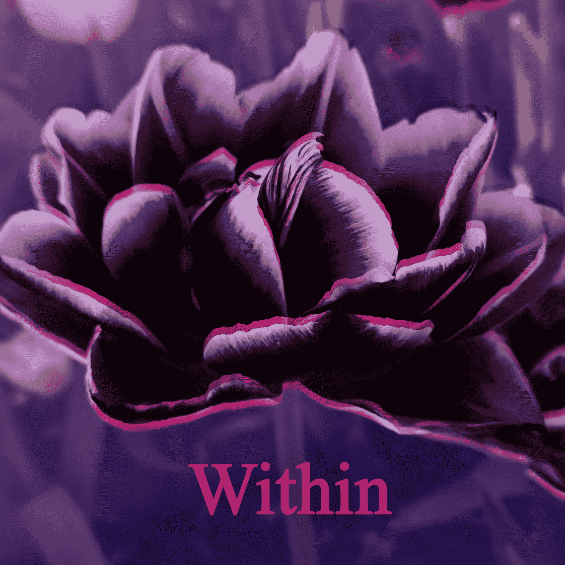 Within_Cover.png