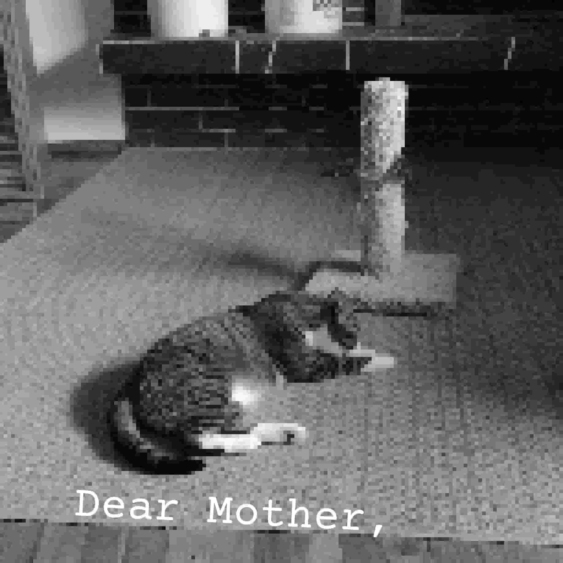 20240505_Dear_Mother,