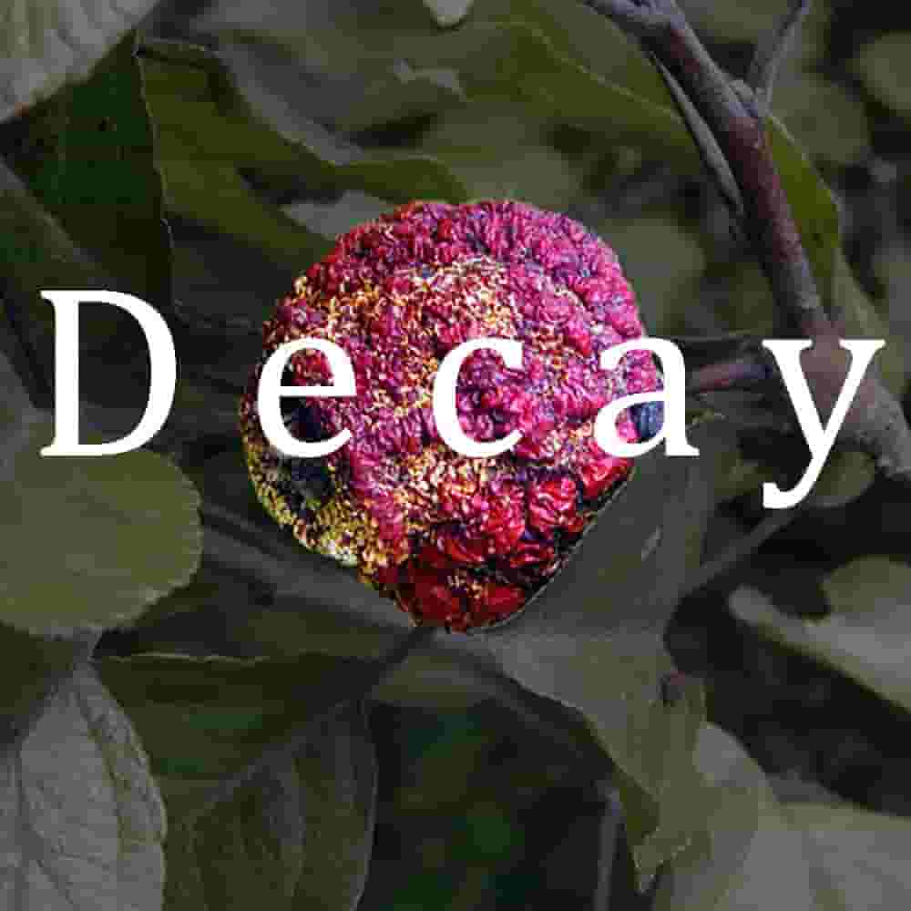 Decay.jpg